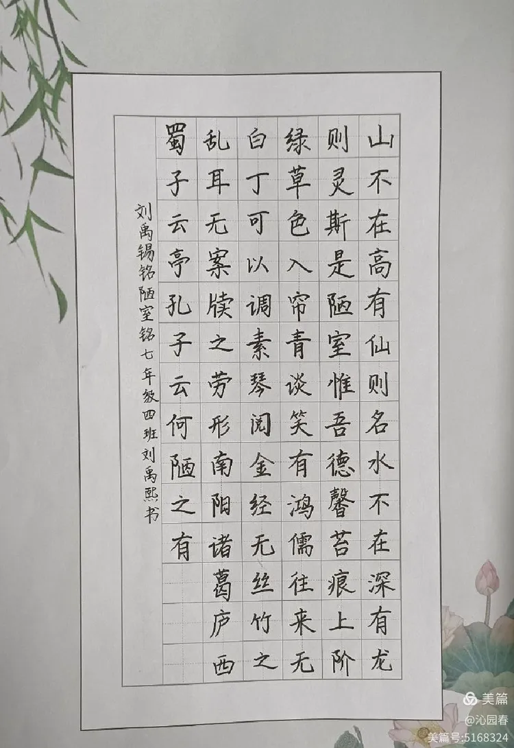 个个优美的字符跃然纸上,一场属于七年级学生的硬笔书法盛宴随之开启